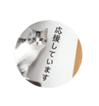 ふっくん敬語2（個別スタンプ：23）