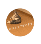 ふっくん敬語2（個別スタンプ：24）