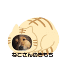 しぇるる（個別スタンプ：5）
