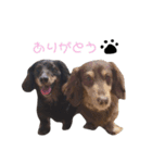 ごまとだいず（個別スタンプ：3）