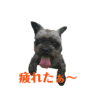 エースとポンズ②（個別スタンプ：3）