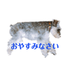 エースとポンズ②（個別スタンプ：9）