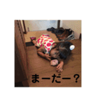 ちびーずたち（個別スタンプ：9）