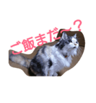 ブー様（個別スタンプ：1）