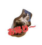 ブー様（個別スタンプ：7）