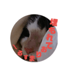 ブー様（個別スタンプ：10）