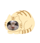 ブー様（個別スタンプ：11）