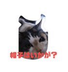 ブー様（個別スタンプ：13）