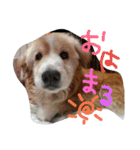 かわいいるぅくんのスタンプです。（個別スタンプ：1）
