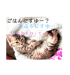 ボンレス（個別スタンプ：4）