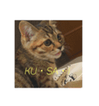 ボンレス（個別スタンプ：7）