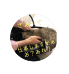 ボンレス（個別スタンプ：14）