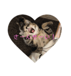 ボンレス（個別スタンプ：21）