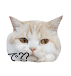 とろ猫2（個別スタンプ：1）