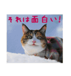 momo＆hatti（個別スタンプ：18）