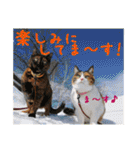 momo＆hatti（個別スタンプ：19）