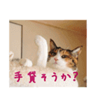 momo＆hatti（個別スタンプ：23）