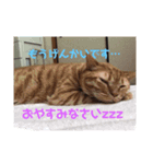 金原家の動物（個別スタンプ：1）