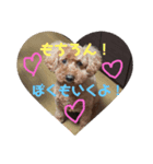 金原家の動物（個別スタンプ：6）