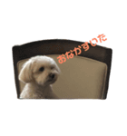 くぅたです。（個別スタンプ：1）