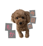 もかくん。（個別スタンプ：2）