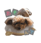 もかくん。（個別スタンプ：5）
