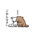 ポメチョコクリーム（個別スタンプ：24）