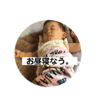 みったんの日常スタンプ。（個別スタンプ：4）