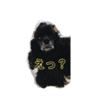 さくひま日常（個別スタンプ：5）