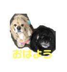 さくひま日常（個別スタンプ：9）