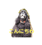 さくひま日常（個別スタンプ：11）