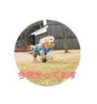 さくひま日常（個別スタンプ：12）