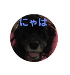 さくひま日常（個別スタンプ：15）