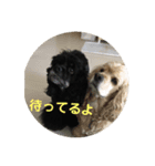 さくひま日常（個別スタンプ：16）