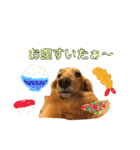 ろきちゃんの日常（個別スタンプ：3）