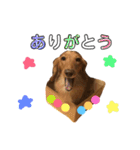 ろきちゃんの日常（個別スタンプ：5）