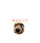 ろきちゃんの日常（個別スタンプ：6）