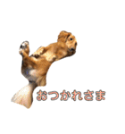 ろきちゃんの日常（個別スタンプ：7）