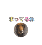ろきちゃんの日常（個別スタンプ：10）
