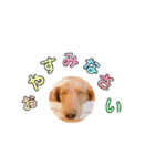 ろきちゃんの日常（個別スタンプ：13）