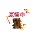 ろきちゃんの日常（個別スタンプ：16）