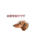 ろきちゃんの日常（個別スタンプ：19）