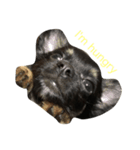 たあちゅんのdog's Life（個別スタンプ：4）