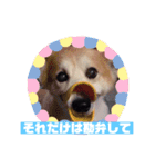 御先祖のペチュニア様（個別スタンプ：6）