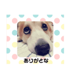 御先祖のペチュニア様（個別スタンプ：7）