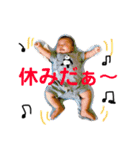 どすこいん（個別スタンプ：10）
