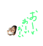 咲良➋（個別スタンプ：23）