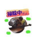 息子 桐ちゃん（個別スタンプ：8）