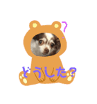 ゆいののほほん毎日2（個別スタンプ：1）