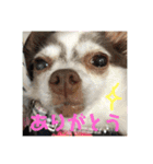 ゆいののほほん毎日2（個別スタンプ：2）